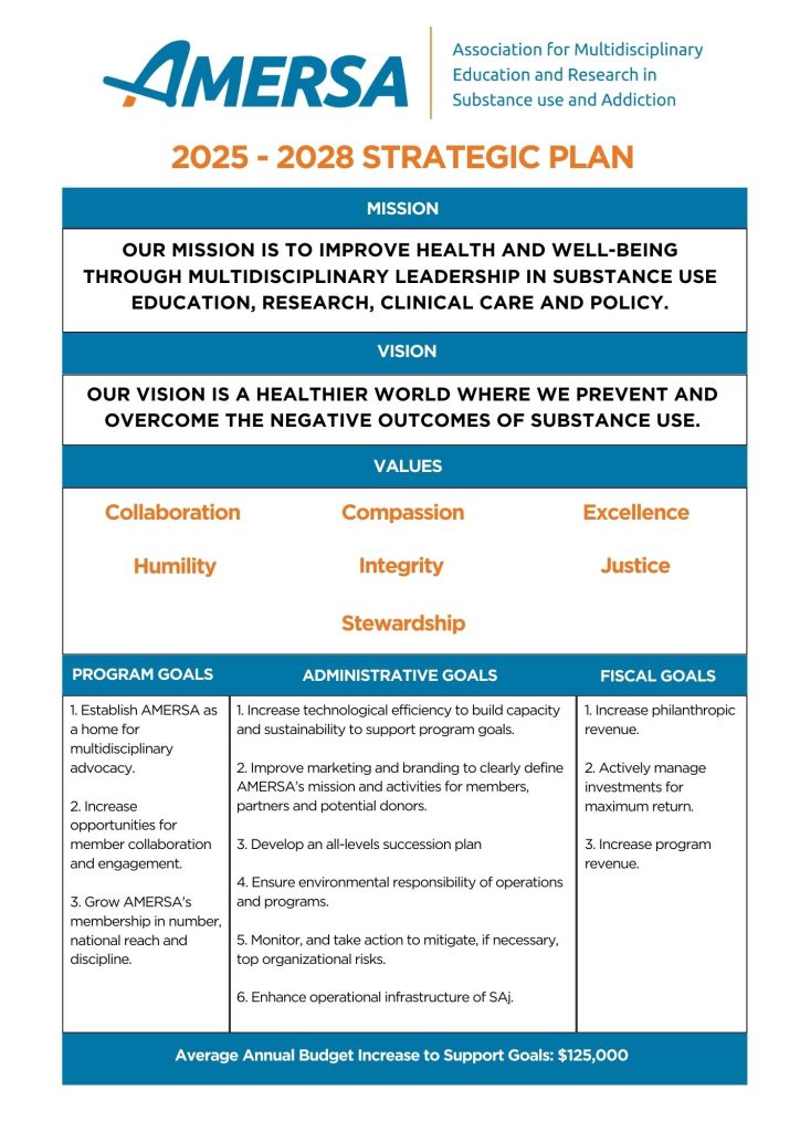 AMERSA 2025-2028 Strategic Plan Summary